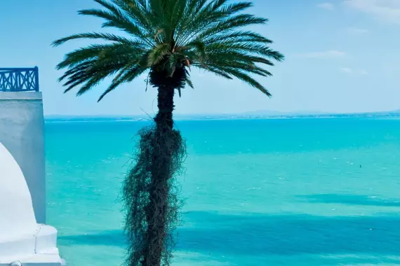 Tunisi, Tunisia, panorama mare di Sidi Bou Said